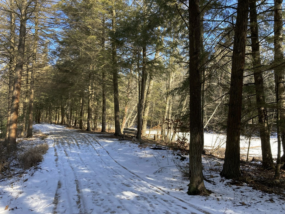 The Rawley Point Bicycle Trail skirts the swales.