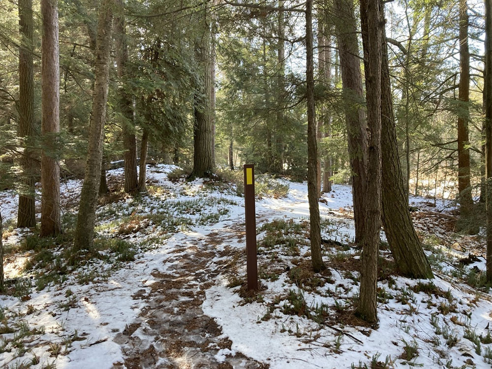 A yellow blaze marks the Ice Age Trail.