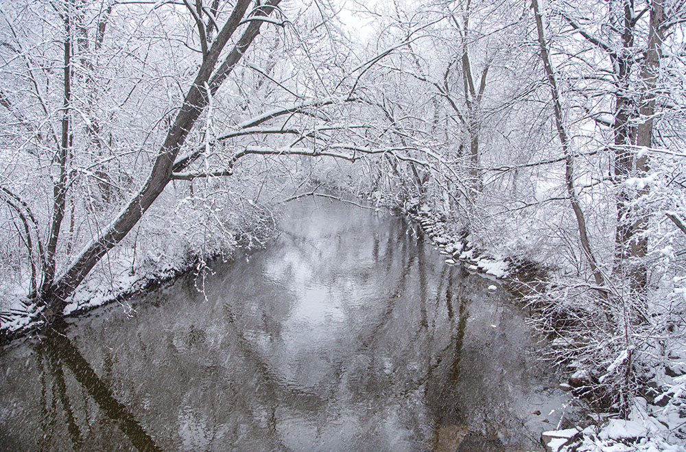 The Menomonee River from the Hoyt Park pedestrian bridge. 