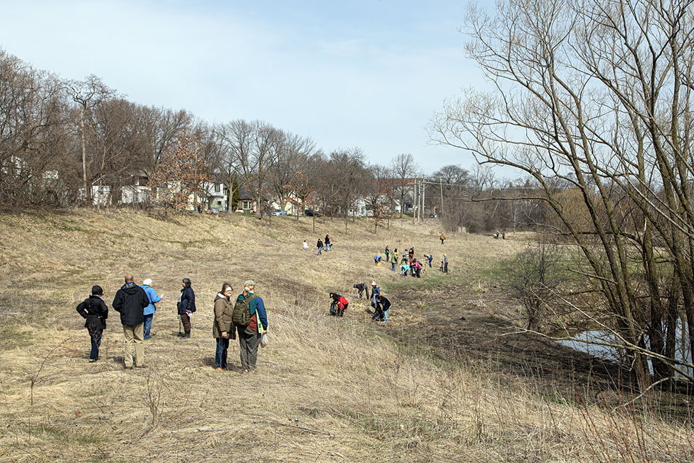 Many continued on and resumed the clean up at the prairie restoration site.