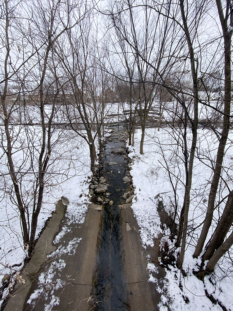 The confluence of the channelized creek with Lincoln Creek.