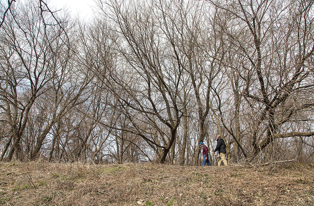 The trail running along the top of the bluff along Lincoln Creek.