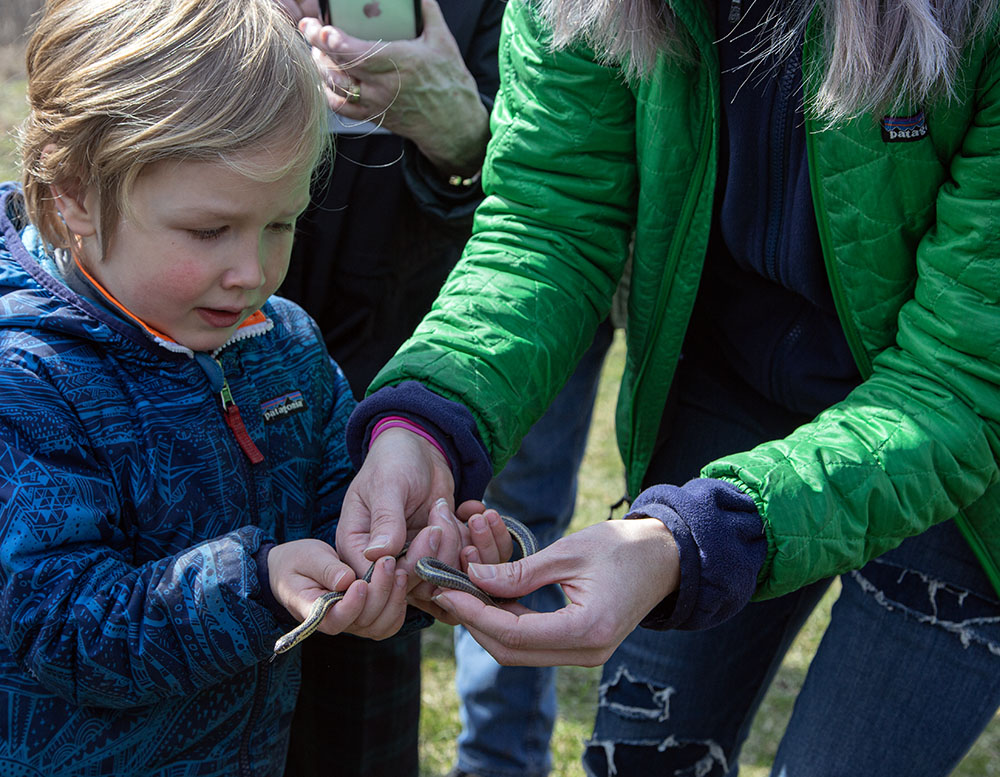 The celebration was briefly upstaged by the appearance of a Butler's garter snake!