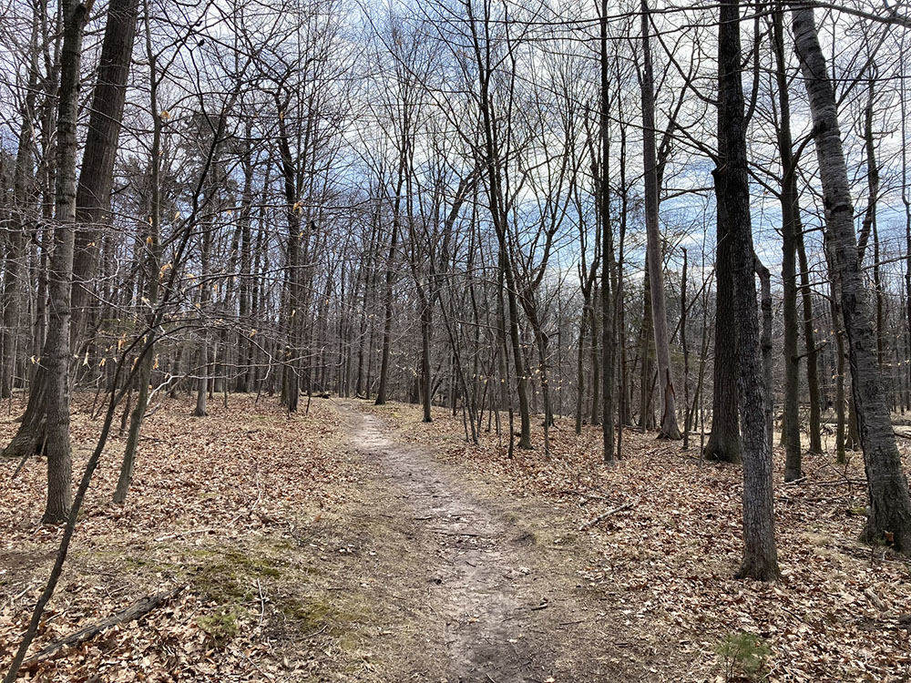 Balzer Wilderness Park trail