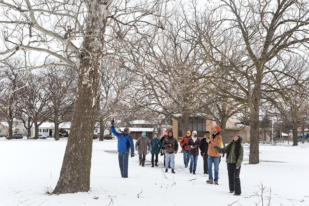 In Harriet Tubman Park the group paused to admire a large sycamore tree.