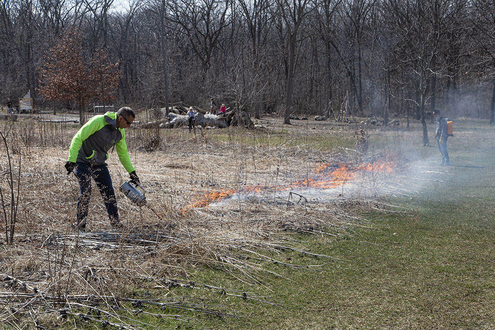 Burn team member ignites the fire in view of spectators on the adjacent playground.