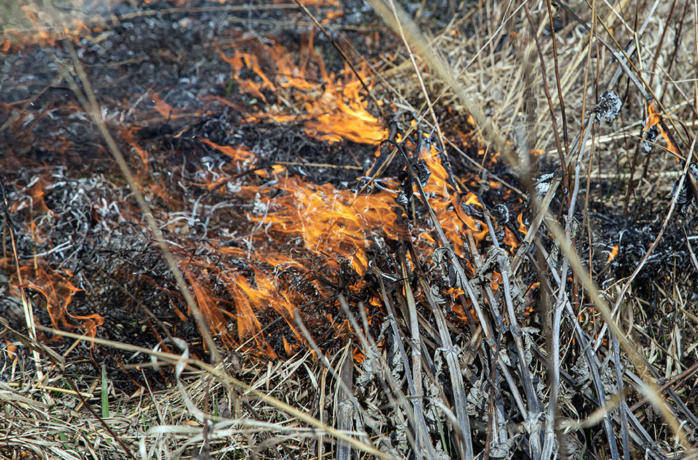 close up of flames