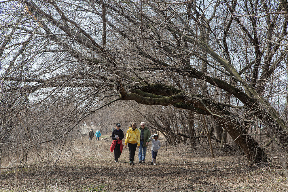 Hikers on the trail.