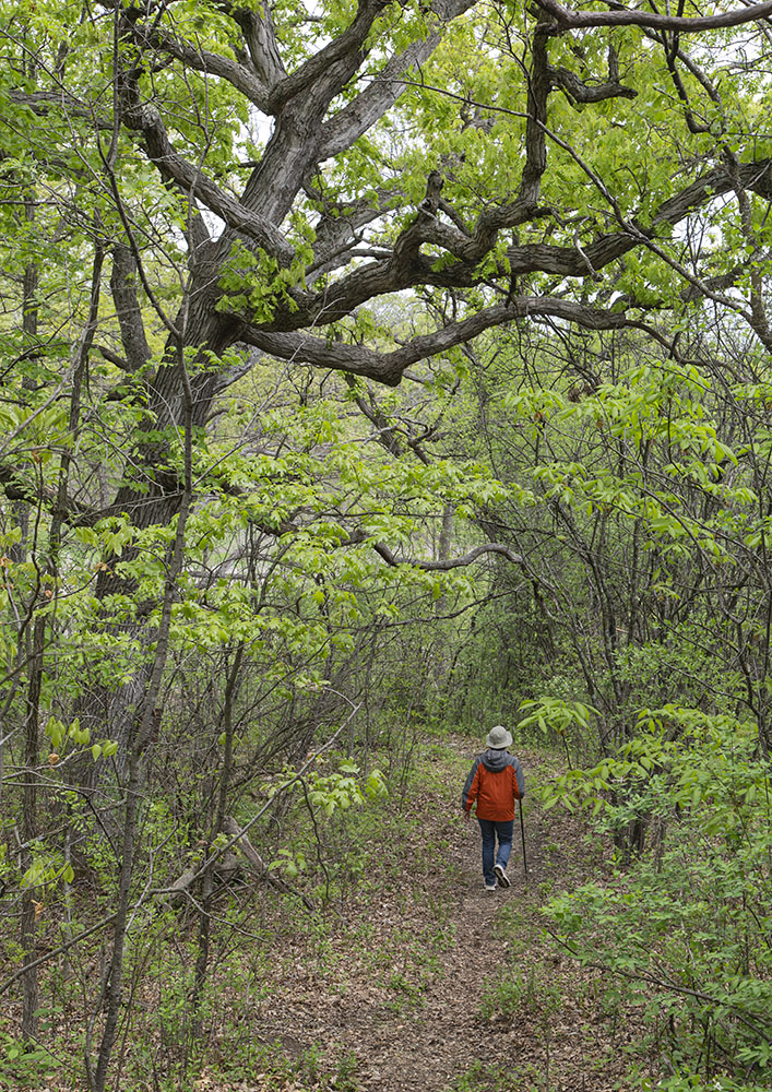 Lunt Fontanne Nature Trail, Genesee Depot.