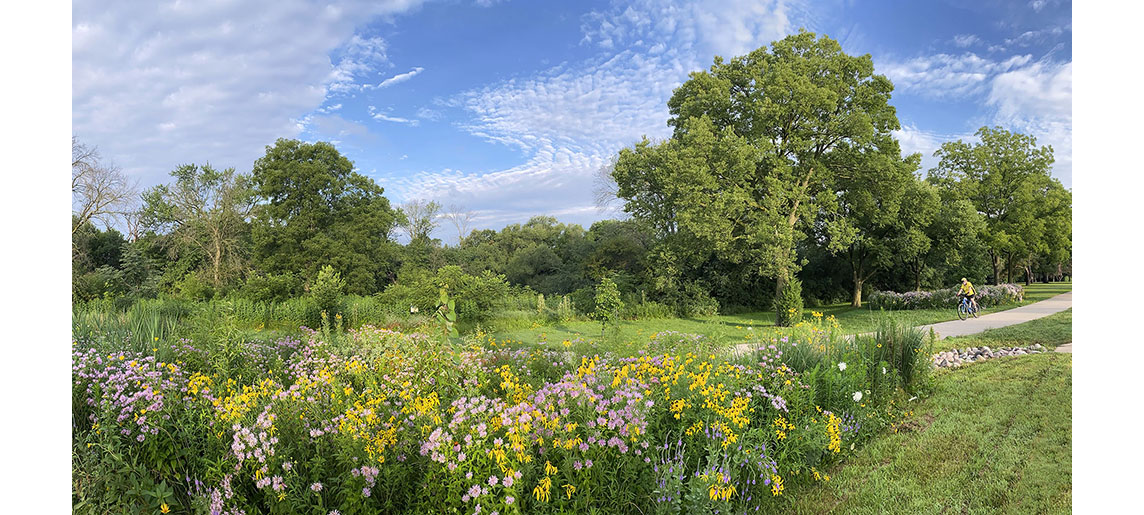 Rain garden and Oak Leaf Trail on the Menomonee River Parkway