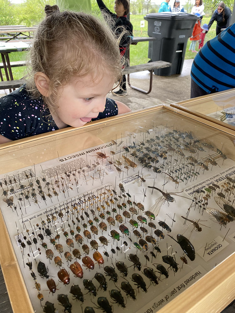 A budding entomologist.