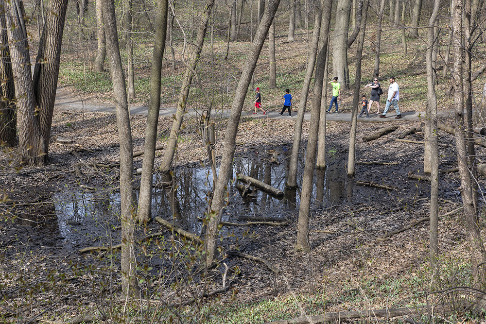 An ephemeral pond in early spring.