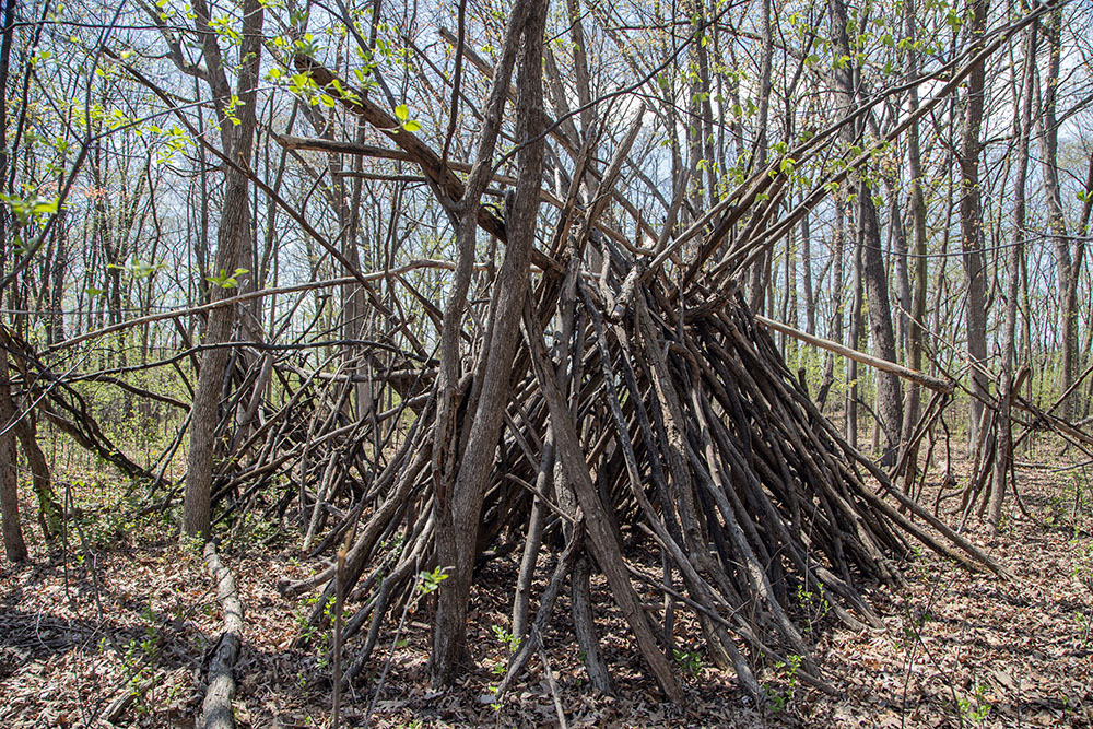 Huge stick fort in the woods