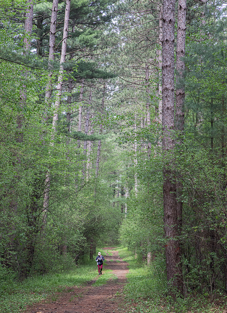 A solitary hiker orienteering on the Ice Age Trail.