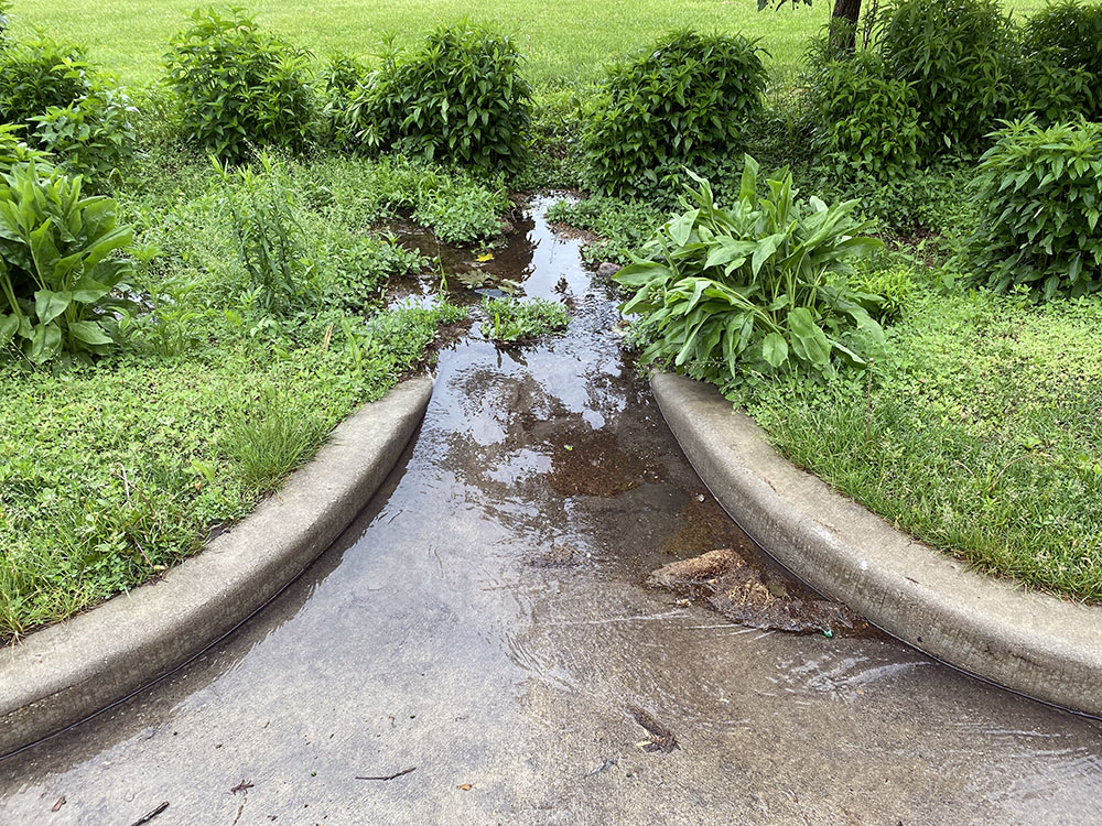 Rain water flowing into a bioswale from the Parkway road. 