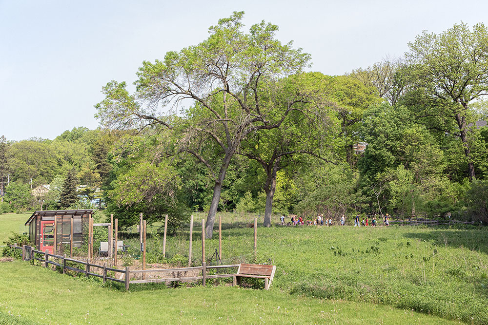 A school group on the path between a meadow and wetland.