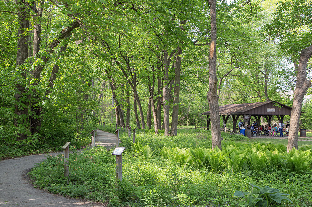 A school group in one of the Glen's outdoor classrooms.