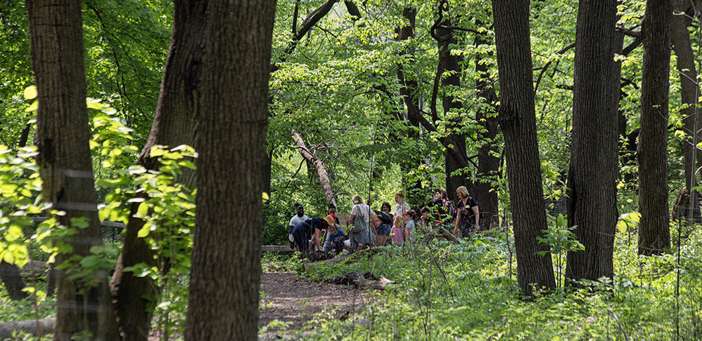 School group in the forest at Hawthorn Glen