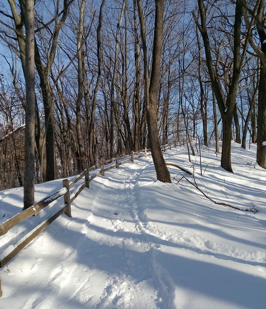 An inviting trail leads you into the natural wonders.