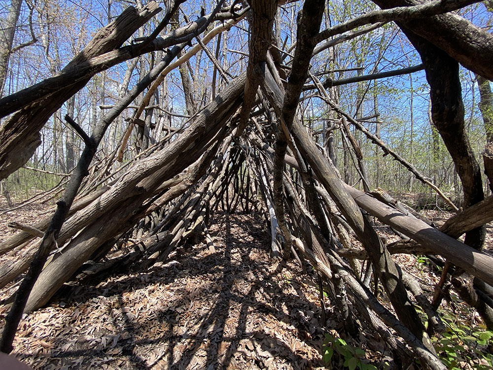 After the deer vacated it I had to check out the interior of this massive fort.