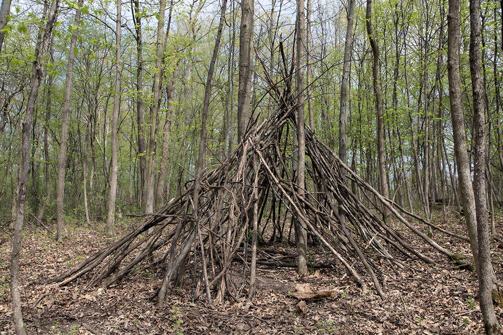 stick fort in woods