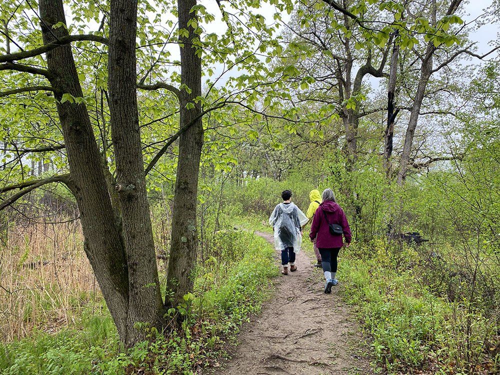 A trio of hikers on the Scuppernong Springs Nature Trail in the rain.