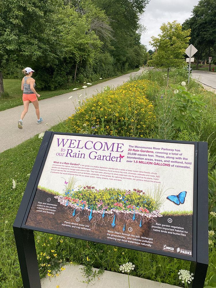 A sign explaining what a rain garden is, located across from Hartung Park next to the Oak Leaf Trail.