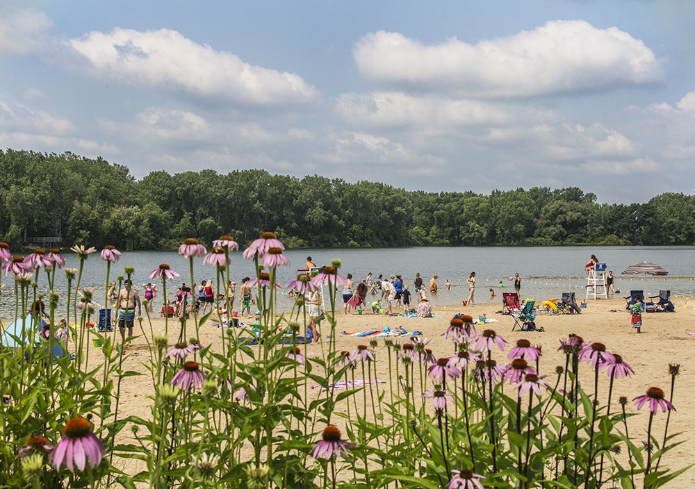 Fox Brook Park, Brookfield.