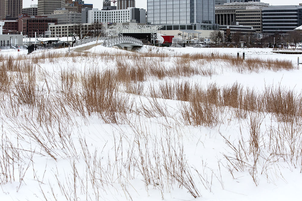 The rhythm of prairie grasses in winter is accentuated by the snow, as well as the architectonic shapes of the background.