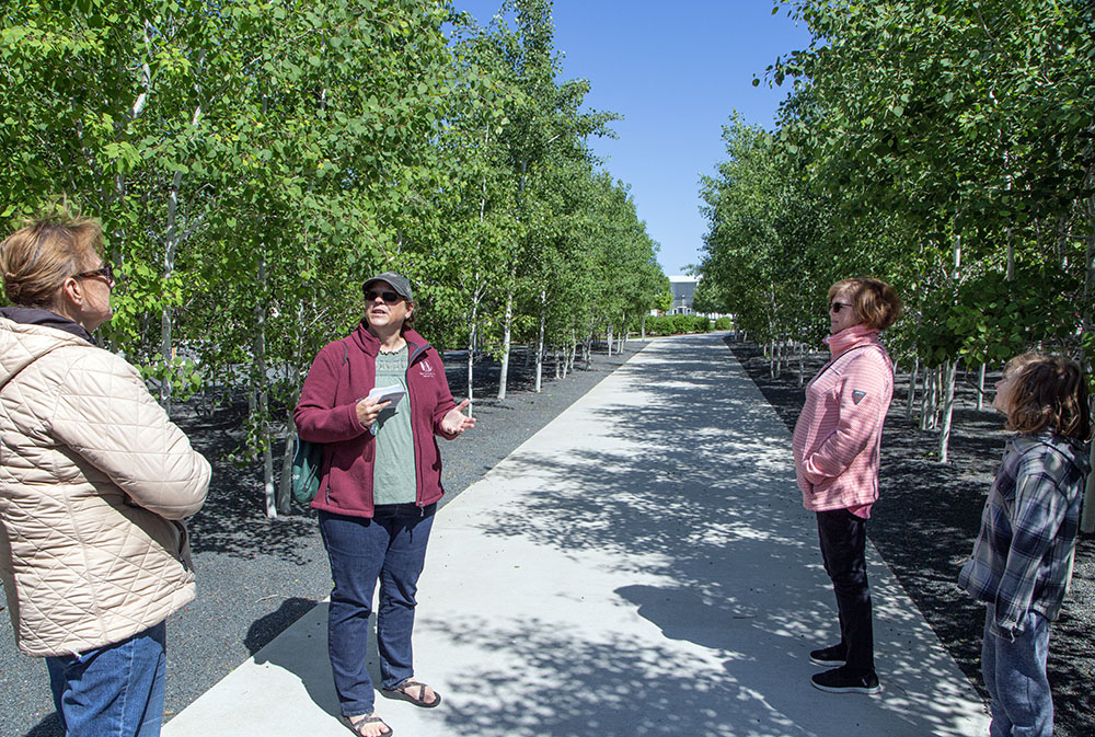 Shelly Rollins (second from left) leading the tour on the Museum of Wisconsin Art (MOWA) Grounds. The grove of aspens is a type of landscape art.