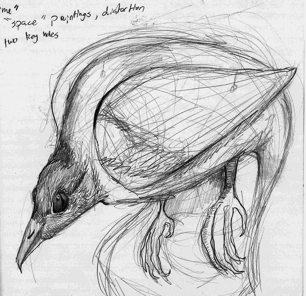 Red Winged Blackbird Sketch, 2023, Graphite on Paper