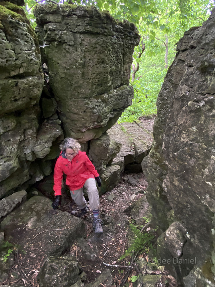 There are places where it's safe, if you're careful, to climb to the bottom of the cliff.