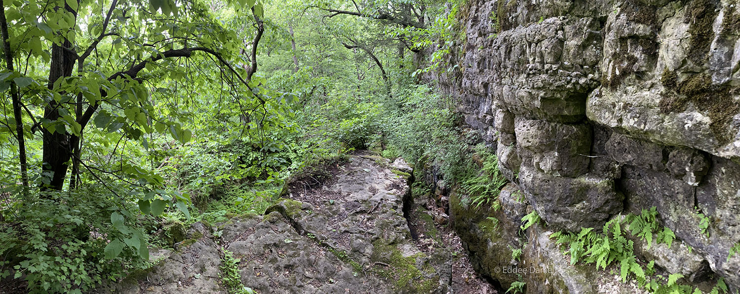 Oakfield Ledge State Natural Area panorama