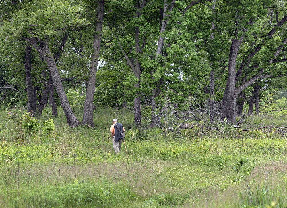 Solitary hiker on trail.