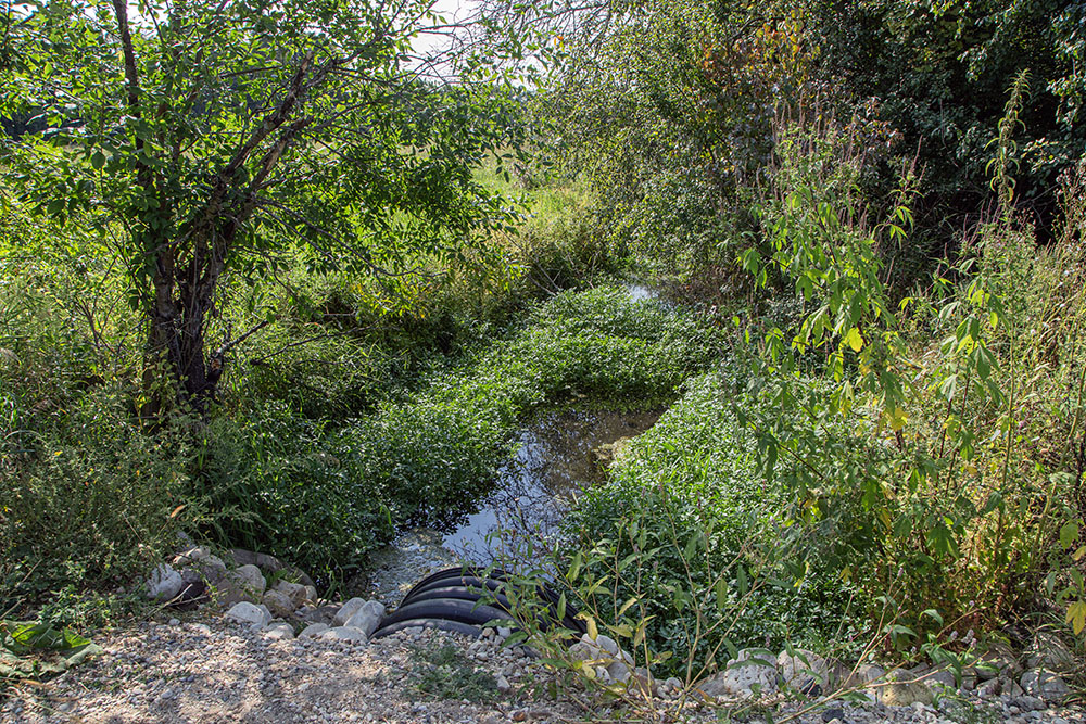 The original drainage ditch remains in place, although most of the creek's flow goes through the newly re-meandered channel.