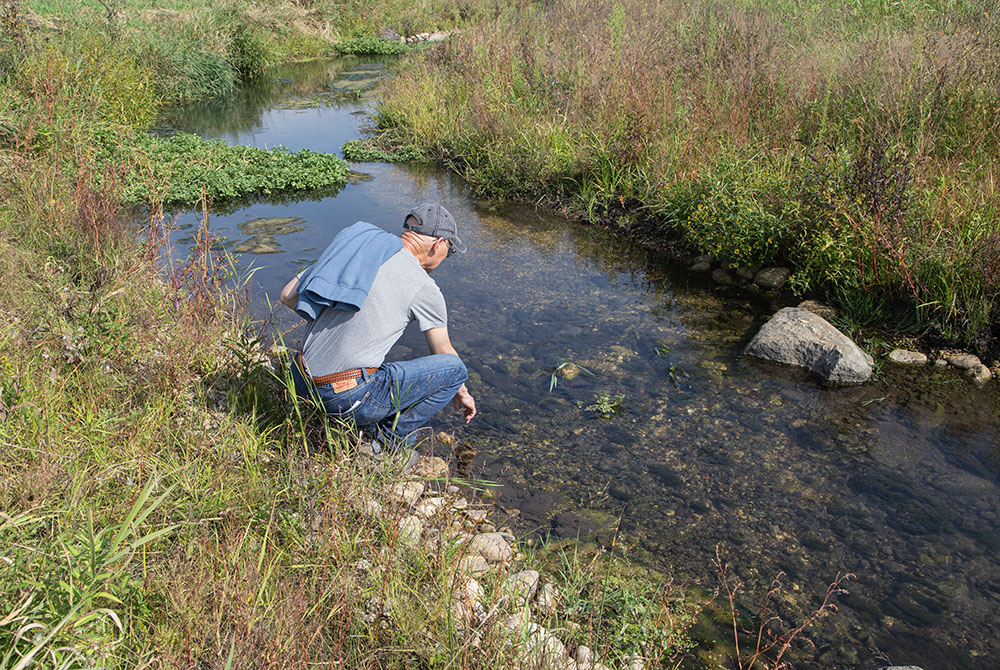 Feeling the cold water. Water temperature is a critical aspect of healthy waterways. Many native species such as brown trout require cold water. The new restoration helps keep the temperature low.