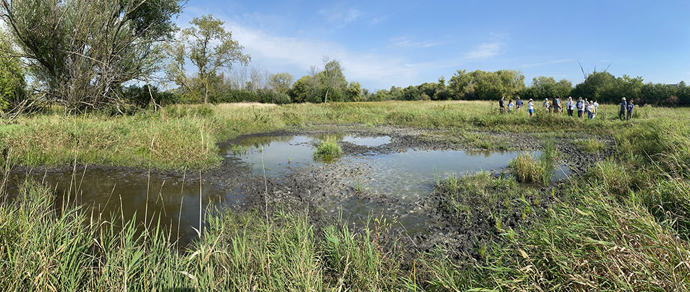 In addition to the re-meandering of the actual creek, a number of other water-slowing features were created, such as this pond system.