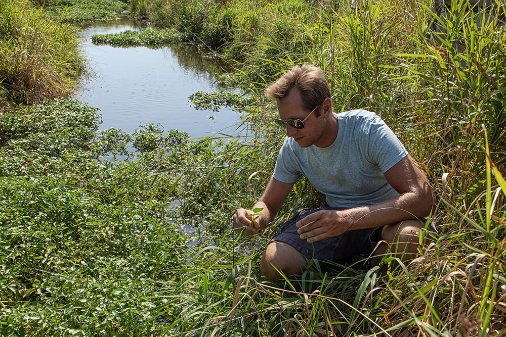 Picking (and tasting) the edible watercress. (It had a radish-like bite to it!)