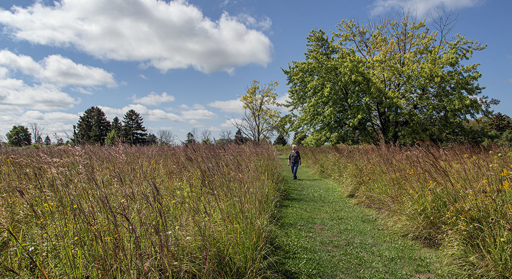 Artist in Residence Ellen Anderson at Forest Beach Migratory Preserve