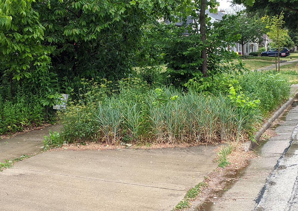 Street and sidewalk from the south. 