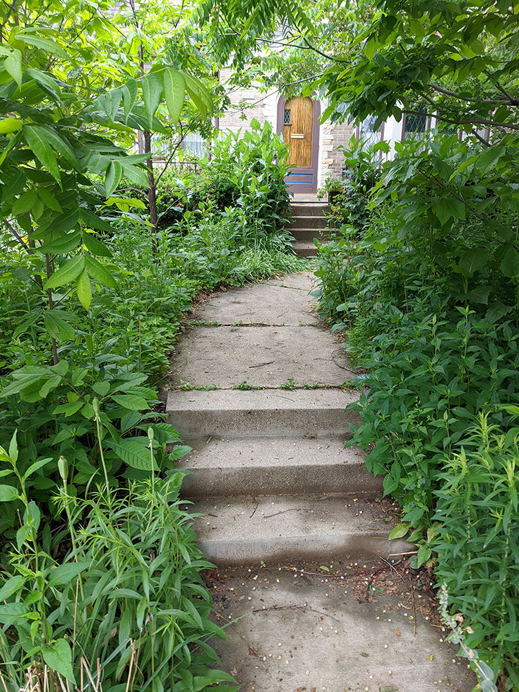 Walkway to the front door.