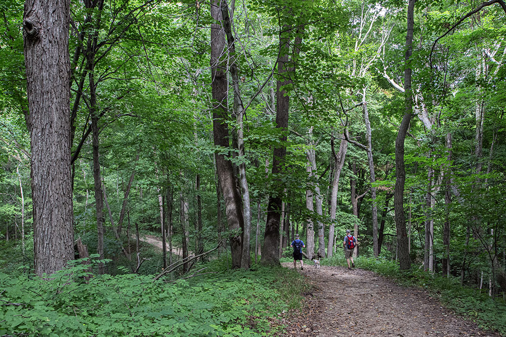 The glacial terrain is evident on this trail in the Pike Lake Unit of the Kettle Moraine State Forest, Hartford.