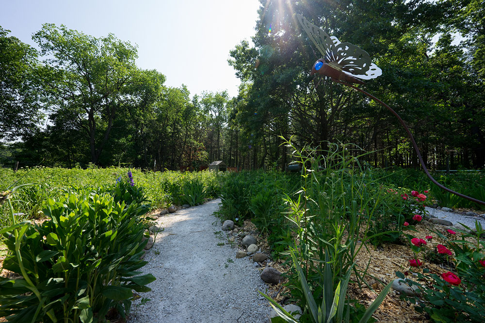 The Butterfly Garden at Lapham Peak attracts people and pollinators. This garden features a butterfly sculpture, bird baths, benches and walking paths.