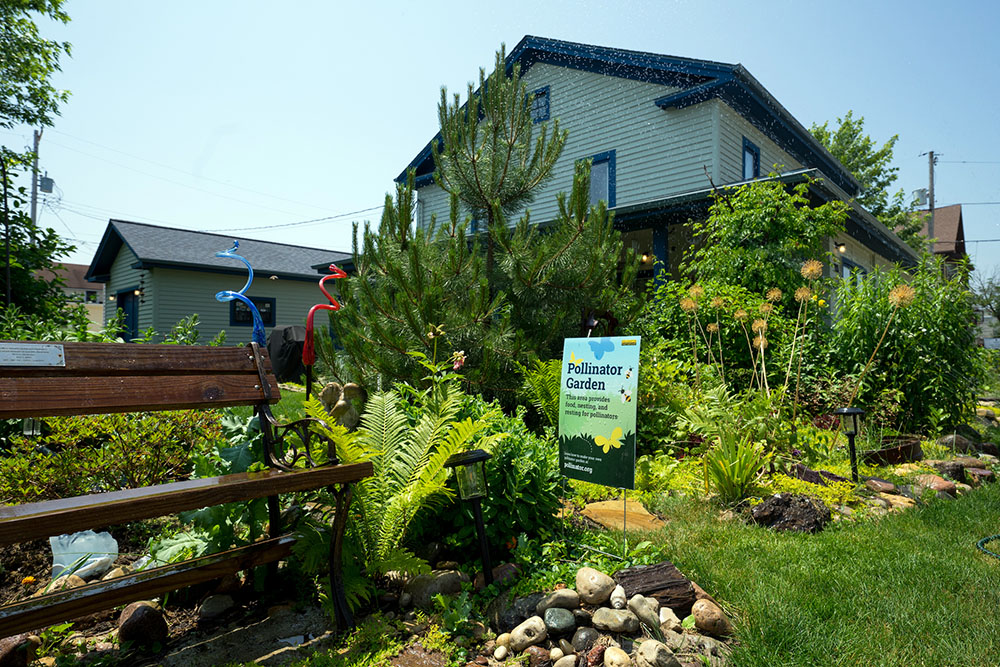 A home garden in Delafield has plants that attract pollinators. Planting native flowers and avoiding pesticides will help the pollinators also.