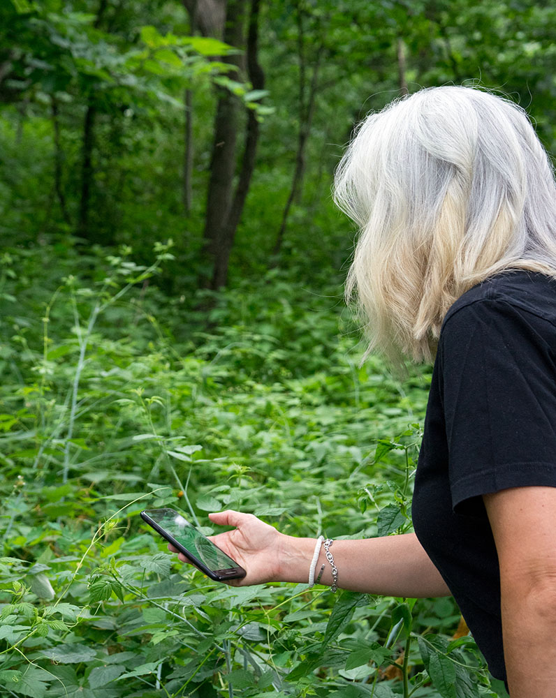 Capturing data for the Pollinator Bioblitz was easy. All I needed was the camera on my phone and the Seek app.