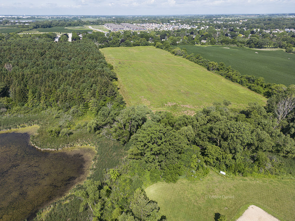 Aerial view of the fifteen-acre field in Smolenski Park being restored to prairie.