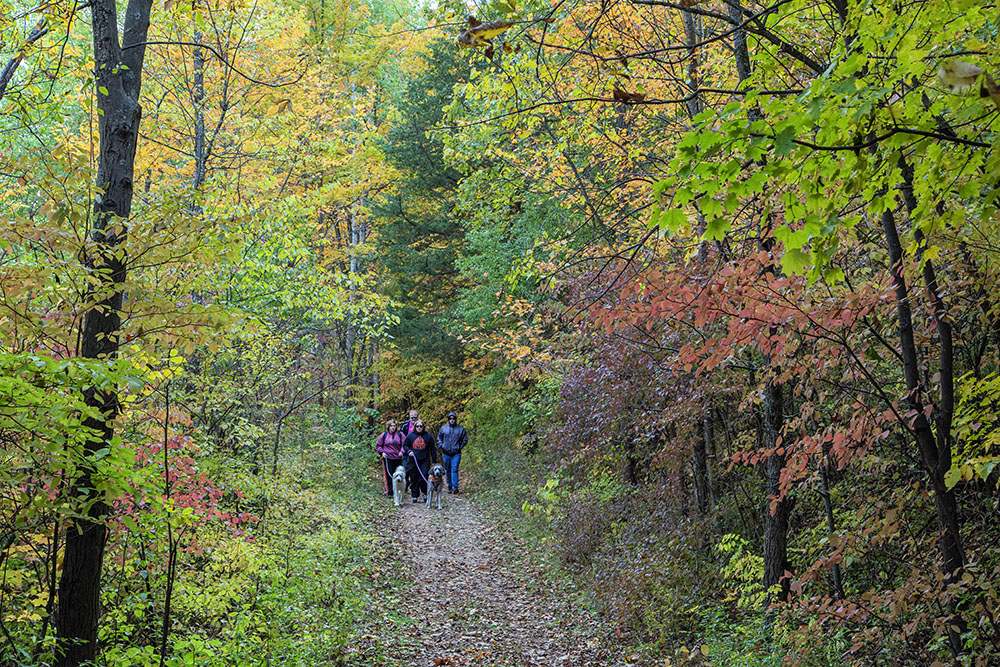 A broad palette of autumn colors.