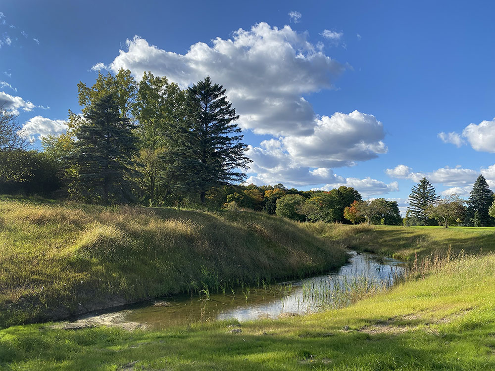 Newly created wetland/bioswale will help collect and filter stormwater runoff.