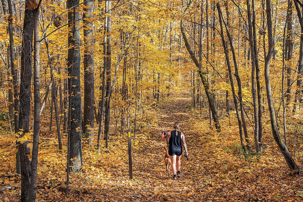 A solo hiker with her dog on the Ice Age Trail.