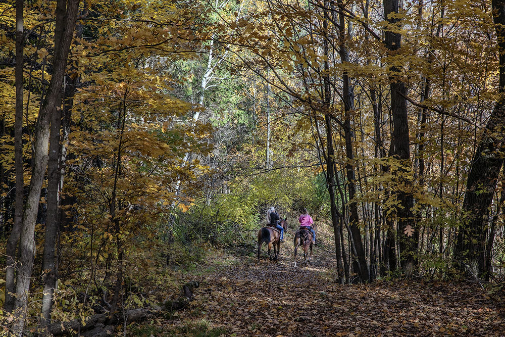 A bridle (and snowmobile) trail crosses the Ice Age Trail.